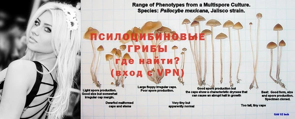 mdma Верея